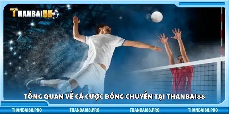 Giới thiệu chung về cá độ bóng chuyền tại Thanbai88