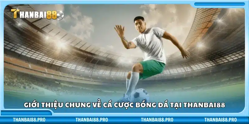 Tổng quan cơ bản về cá độ bóng đá trên Thanbai88