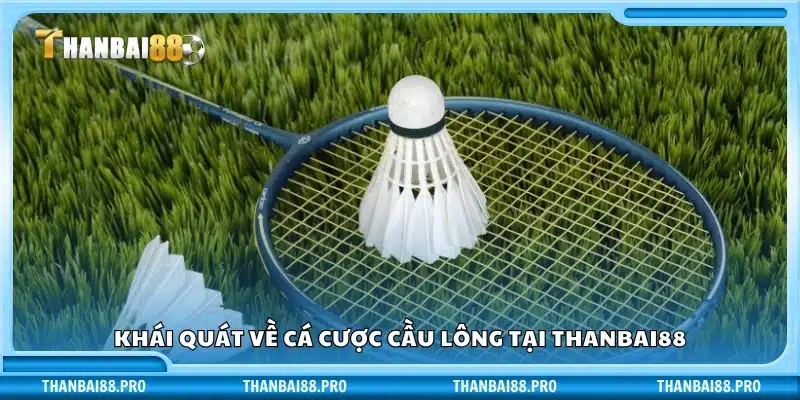 Giới thiệu cơ bản về cá độ cầu lông tại Thanbai88