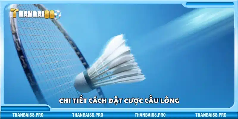 Hướng dẫn cụ thể cách chơi cá cược cầu lông