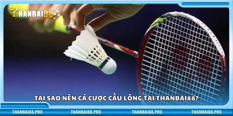 Lý do nên chọn Thanbai88 để cược cầu lông