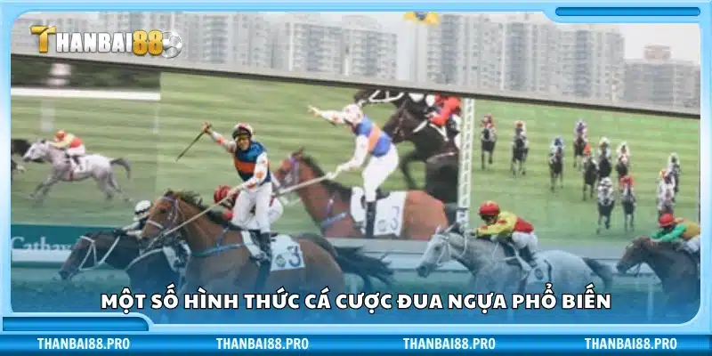 Các kiểu cược đua ngựa thông dụng