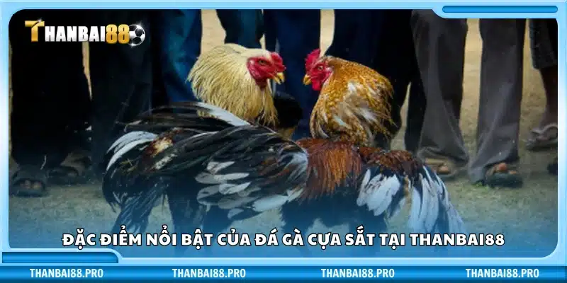 Những điểm mạnh của đá gà cựa sắt tại Thanbai88
