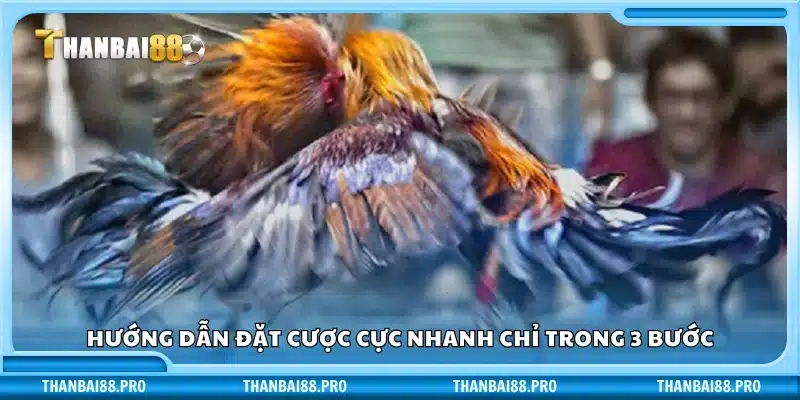 Hướng dẫn đặt cược chỉ trong 3 bước nhanh gọn