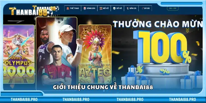 Tổng quan về nhà cái trực tuyến Thanbai88