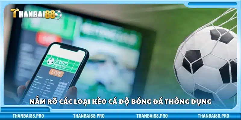 Tổng hợp các kiểu cược bóng đá phổ biến