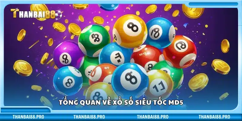 Giới thiệu sơ lược về xổ số MD5 tốc độ cao