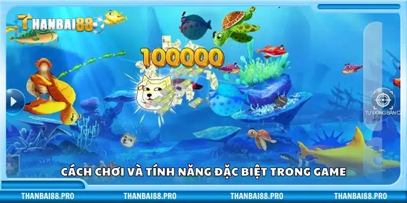 Hướng dẫn cách chơi và điểm nổi bật